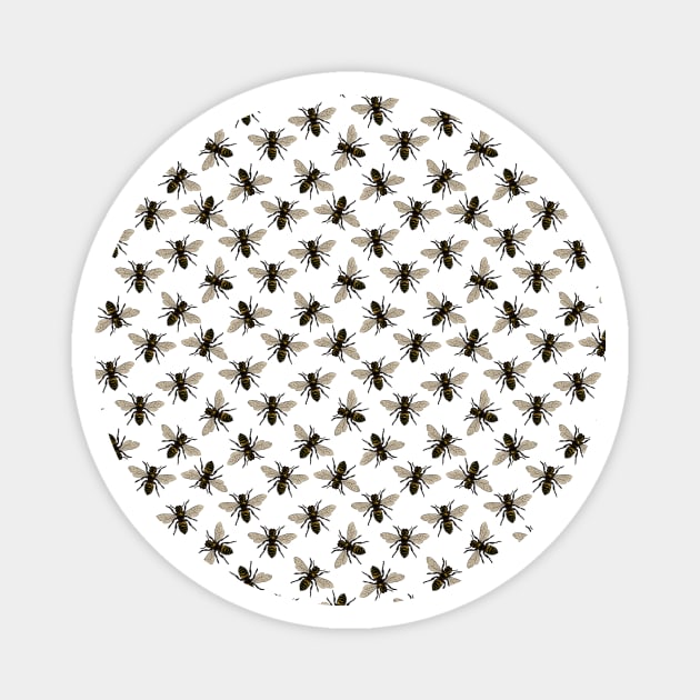 Honey Bee Pattern | Bees | Bee Patterns | Save the Bees | Honey Bees | Magnet by Eclectic At Heart